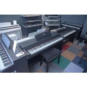 Entrada D-100A B digitale piano  