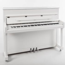 Sebastian Steinwald 110 (halve klep) PWH zilver piano 