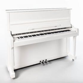 Sebastian Steinwald witte akoestische piano