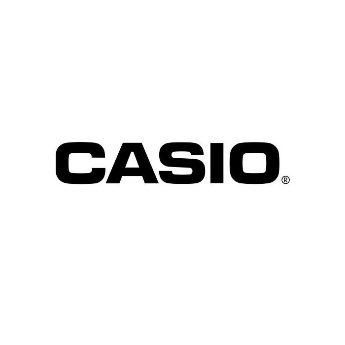Casio AD-95 adapter 