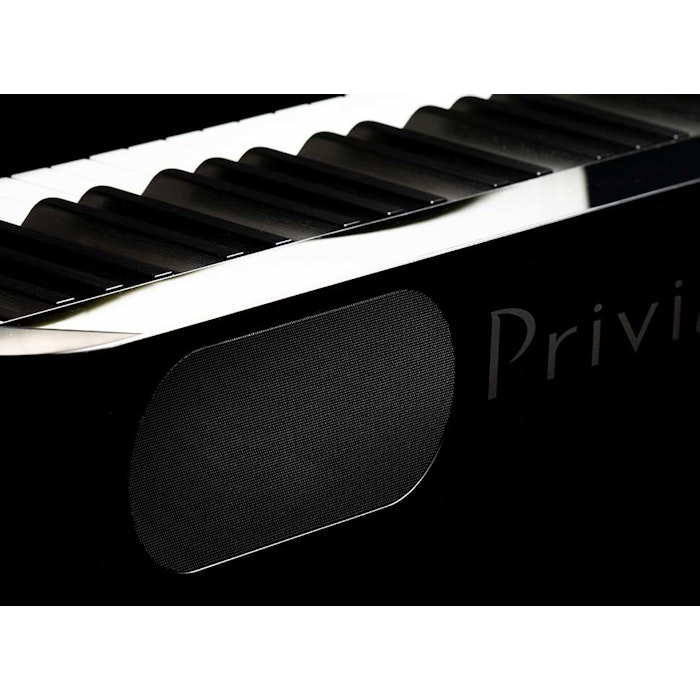 Casio Privia PX-S1000 BK stagepiano 