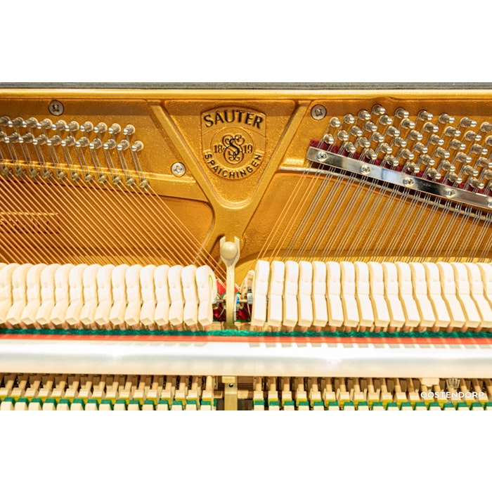 Sauter Carus 112 (Korg KS-30) PE messing silent piano
