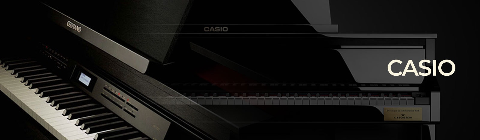 Casio digitale piano
